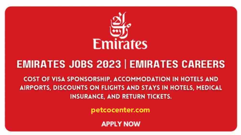 Emirates Jobs 2023,emirates,emirates jobs,emirates airline jobs,emirates first class,emirates economy class,emirates business class,emirates airlines jobs 2022,emirates job,uae jobs 2023,jobs in emirates nbd,jobs in emirates airline 2021,emirates jobs in dubai,emirates nbd,emirates airlines jobs,emirates post,emirats jobs,job in emirates post,find job in emirates,pilot job in emirates,emirates career,jobs in emrates,jobs in united erab emirates,emirates careers