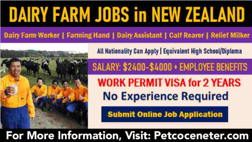 Farming Jobs in New Zealand | Dairy Farm Jobs Foreigner 2023,dairy farming in new zealand,jobs in new zealand for foreigners,jobs in new zealand 2022,jobs in new zealand for indians,unskilled jobs in new zealand,new zealand dairy farming,dairy farming new zealand,pinoy dairy farmer in new zealand,new zealand,jobs in new zealand,farm worker jobs in new zealand,dairy farm jobs in new zealand for foreigners,new zealand jobs,new zealand work visa,work in new zealand,new zealand visa,