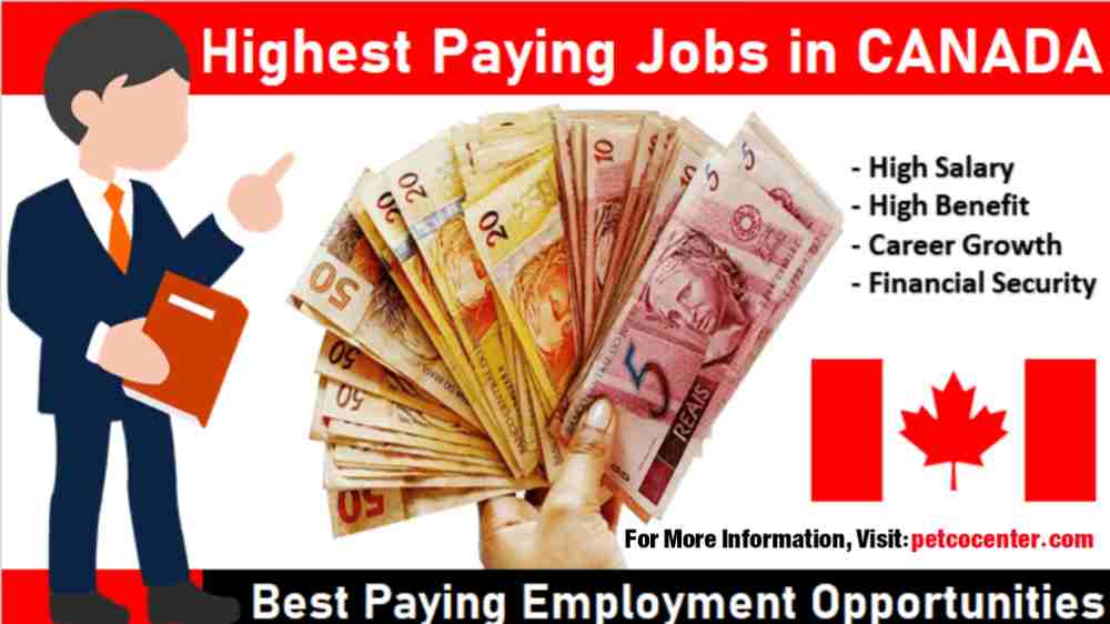 Highest Paying Jobs in Canada,Best Paying Jobs in BC,Best Paying Jobs in Canada,Best Paying Jobs in Ontario,Best Salary Jobs in Canada,Canada Most Demanding Jobs,Good Paying Jobs in Canada,High Paying Jobs in BC,High Paying Jobs in Toronto,High Salary Jobs in Canada,Highest Earning Jobs in Canada,Highest Paid Nurses in Canada,Highest Paid Professions in Canada,Highest Paid Salary in Canada,Highest Paying Careers in Canada,highest paying companies in canada,Highest Paying Degrees in Canada,Highest Paying Engineering Jobs in Canada,Highest Paying It Jobs in Canada,Highest Paying Jobs in Alberta,Highest Paying Jobs in Calgary,highest paying jobs in canada,Highest Paying Jobs in Canada 2019,Highest Paying Jobs in Canada 2021,Highest Paying Jobs in Canada 2022,Highest Paying Jobs in Canada for Commerce Students,Highest Paying Jobs in Canada for Filipinos,Highest Paying Jobs in Canada for Foreign Workers,Highest Paying Jobs in Canada for Foreigners,Highest Paying Jobs in Canada for Immigrants,Highest Paying Jobs in Canada for Indians,Highest Paying Jobs in Canada for International Students,Highest Paying Jobs in Canada for International Workers,Highest Paying Jobs in Canada for Students,Highest Paying Jobs in Canada Without a Degree,Highest Paying Jobs in Ontario,Highest Paying Jobs in Vancouver,Highest Paying Part Time Jobs in Canada,Highest Paying Part Time Jobs in Canada for Students,Highest Paying Tech Jobs in Canada,Highest Paying Trades in Canada,Highest Paying Trades in Ontario,Highest Salary in Canada,Most High Paying Jobs in Canada,Most Paid Jobs in Canada,Top 10 Highest Paying Jobs in Canada,top 20 highest paying jobs in canada,Top Paying Jobs in Canada,Top Salaries in Canada,Top Salary Jobs in Canada,Well Paid Jobs in Canada,