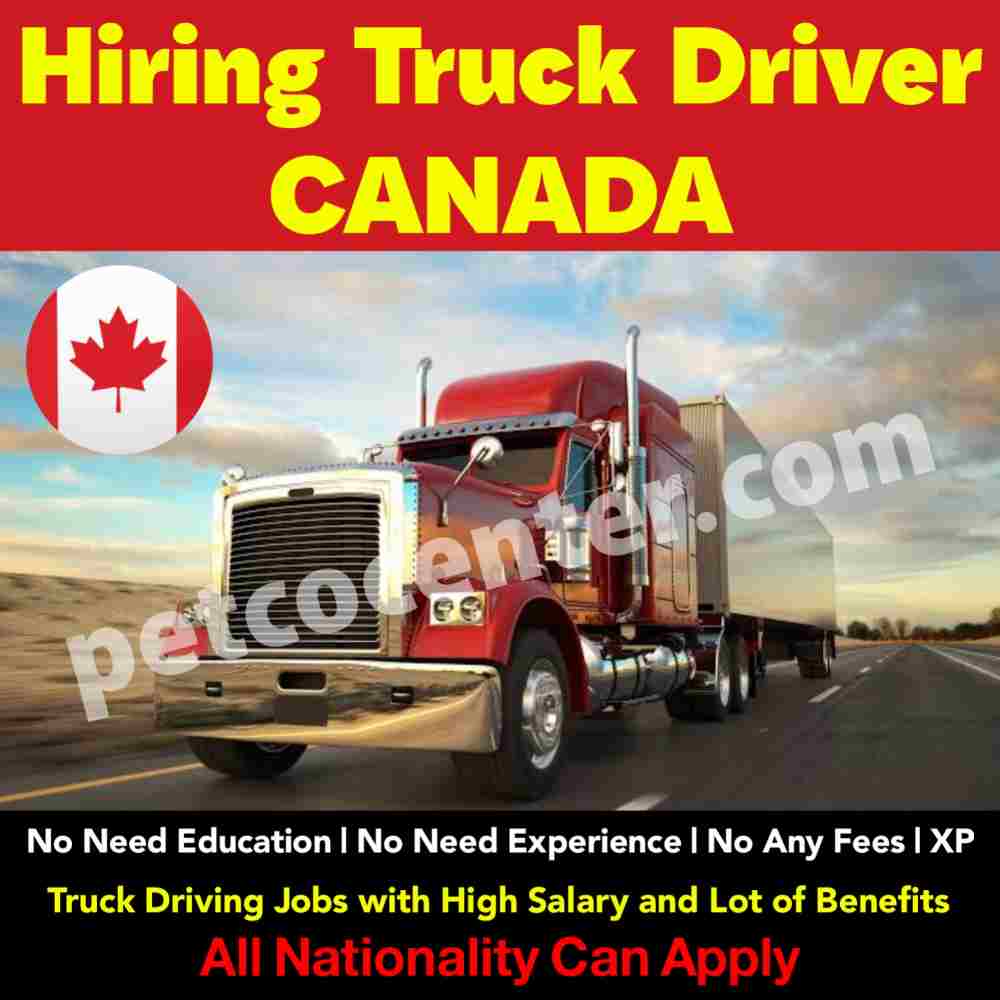 Explore a Career as a Truck Driver in Canada 2023,Truck Driver in Canada,truck driver jobs in canada,how to immigrate to canada as a truck driver,truck drivers in canada,canada truck driver,work in canada as a truck driver,truck driver salary in canada,truck driver in canada,truck driver,truck driving jobs in canada,shortage of truck drivers in canada,truck drivers,immigrate to canada as a truck driver - north,truck driving career in canada,how life is as a truck driver in japan,how to move to canada as a truck driver,