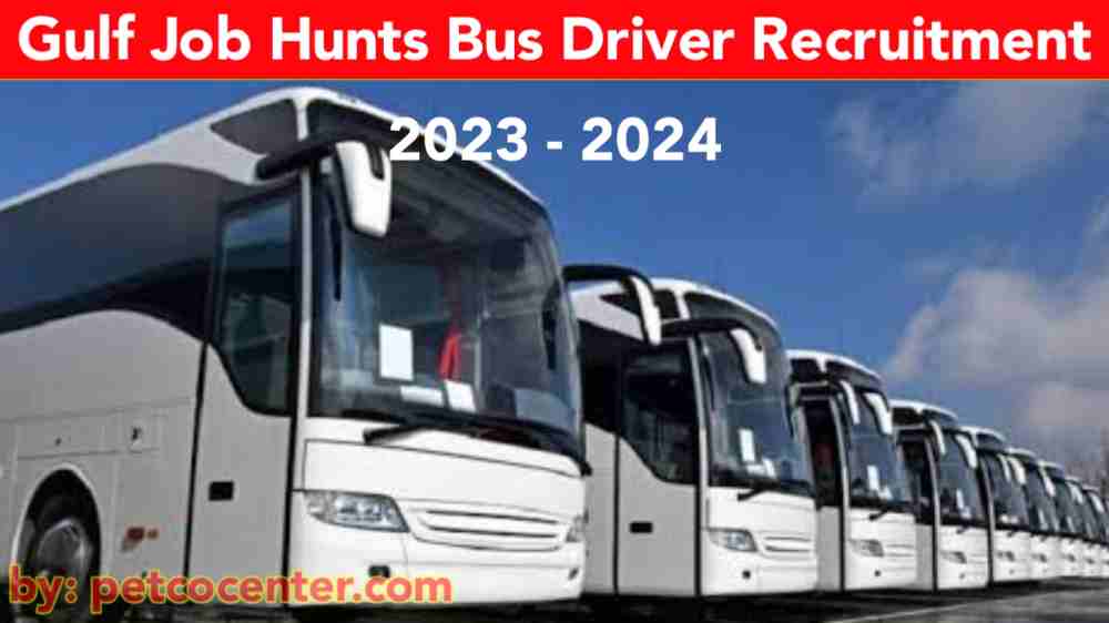 free recruitment job vacancy,free recruitment jobs,gulf job vacancy 2023,qatar driver jobs 2023,gulf jobs 2023,delivery driver jobs good salary very urgent requirement,qatar driver vacancy 2023 hindi,very urgent requirement gulf,driver job,driver jobs,qatar driver job,very urgent requirement qatar job's,tn postal recruitment,very urgent requirement saudi arab airport labour job,sweet labour jobs saudi arab very urgent requirement,driver jobs in gulf news,bus driver recruitment,Bus Driver Recruitment,