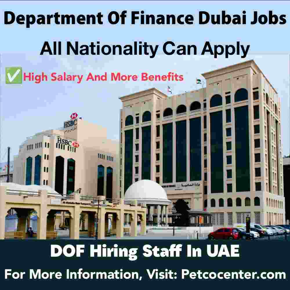 Exploring Career Opportunities at the Department of Finance Dubai,Department of Finance Dubai
